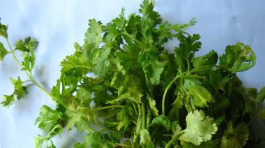 garnishing-instructions-image